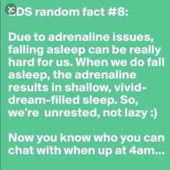 🦓 I am a Zebra 🦓 - Picture 6 of 8